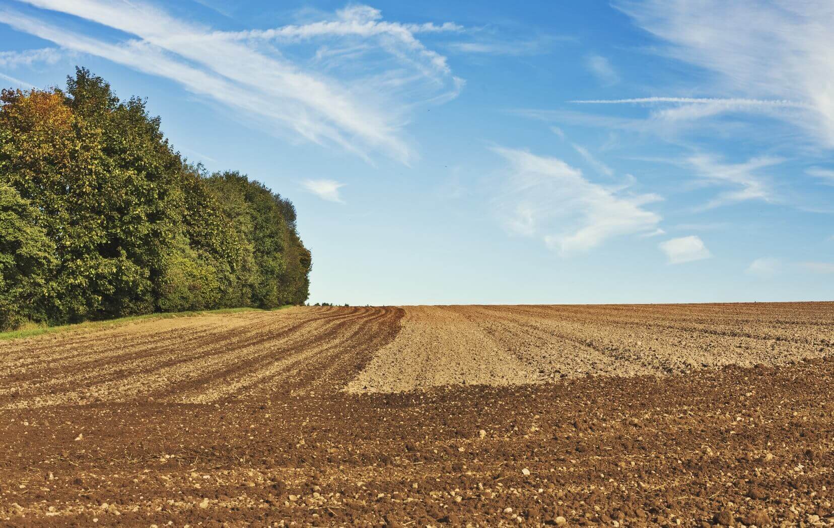 Fazenda 